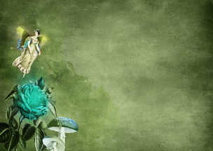 色天使网站视频长尾关键词集合