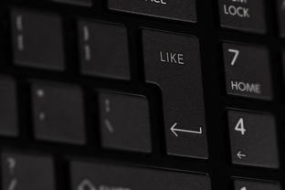 城市管理执法局网站全部长尾关键词