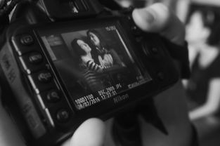 win7屏幕亮度工具相关长尾关键词有哪些