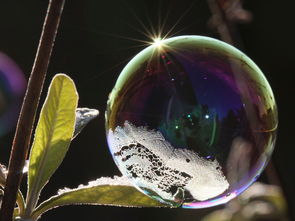 虚拟世界光线制作工具全部长尾关键词