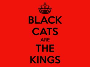 淘宝怎么查看宝贝权重