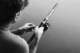 钓鱼发财工具有哪些相关长尾关键词有哪些