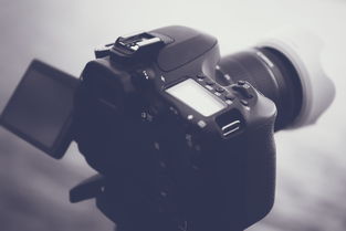 工具箱免安装相关长尾关键词有哪些 工具箱免安装相关长尾关键词有哪些